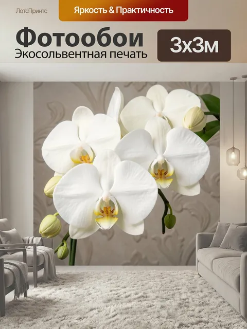 Фотообои Белые орхидеи фаленопсис. Нежные тропические цветы с крупными молочно-белыми лепестками и желтыми сердцевинам…