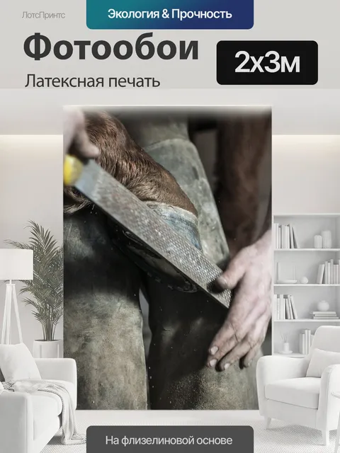 200 × 300 см · Латексная печать
