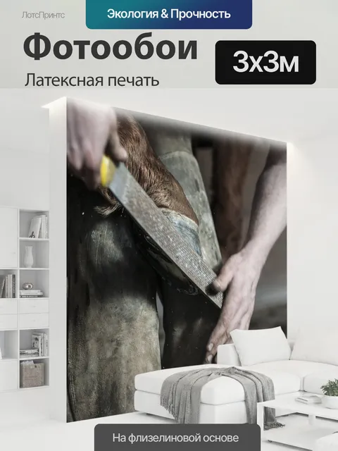 300 × 300 см · Латексная печать