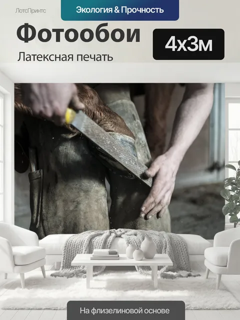 400 × 300 см · Латексная печать