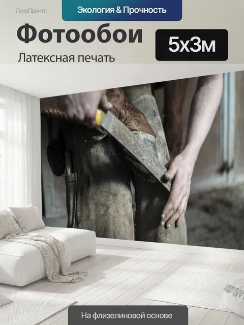 500 × 300 см · Латексная печать