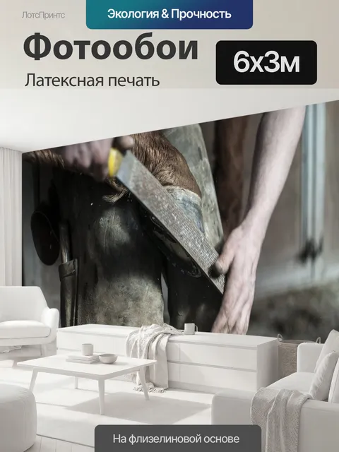 600 × 300 см · Латексная печать