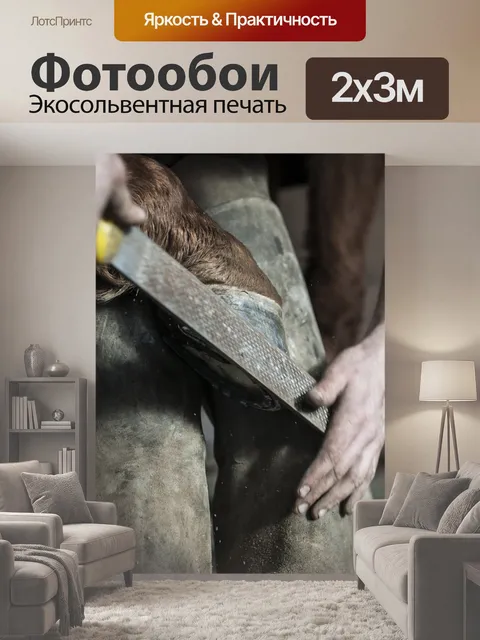 200 × 300 см · Экосольвентная печать