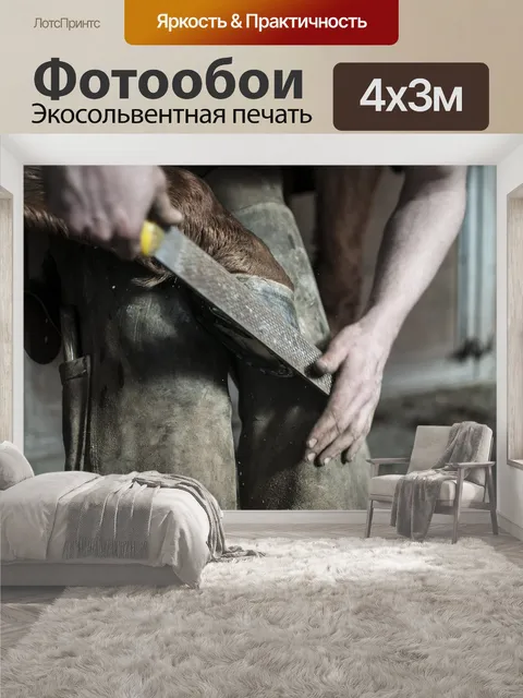 400 × 300 см · Экосольвентная печать