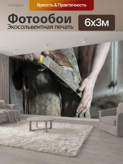 600 × 300 см · Экосольвентная печать