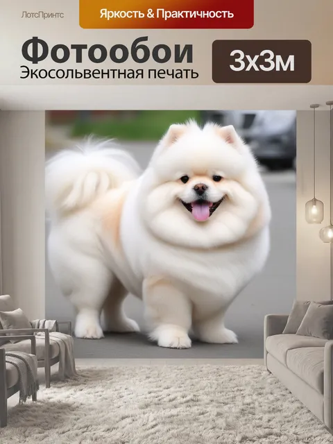 Фотообои Пушистая собаки домашние питомцы