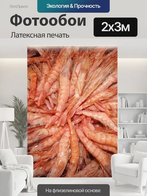 200 × 300 см · Латексная печать