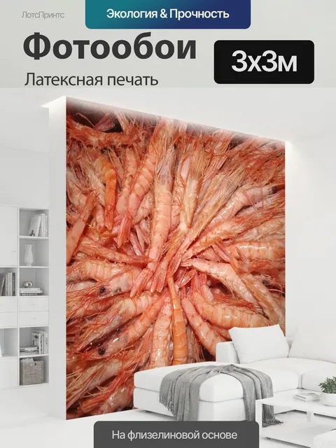 300 × 300 см · Латексная печать