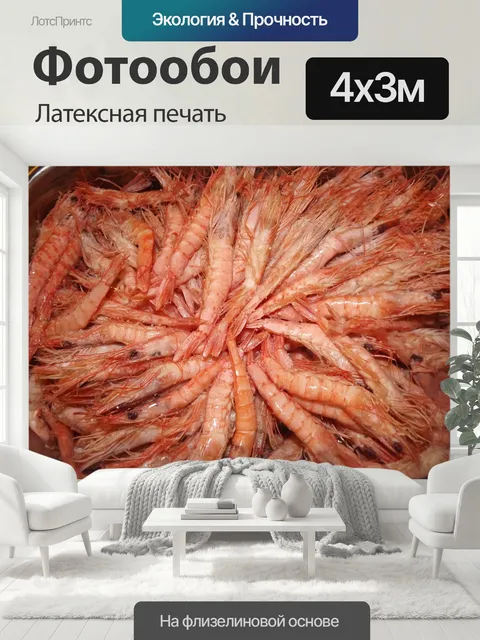 400 × 300 см · Латексная печать