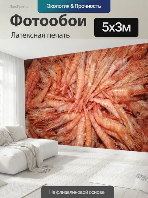 500 × 300 см · Латексная печать