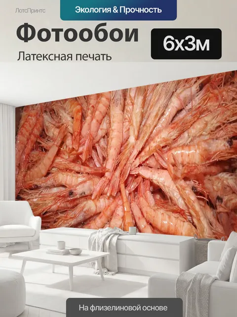 600 × 300 см · Латексная печать