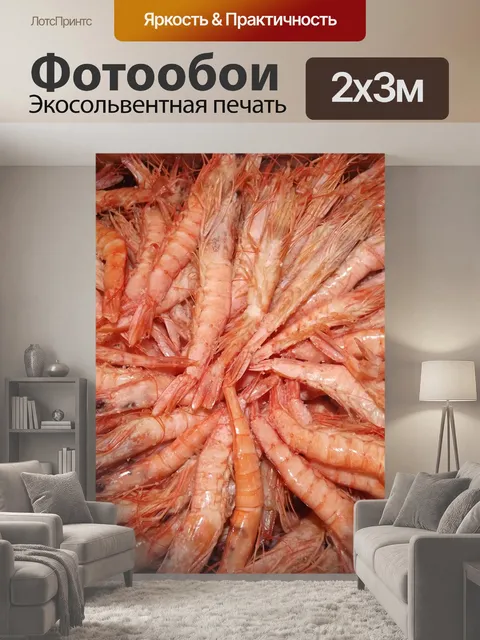 200 × 300 см · Экосольвентная печать