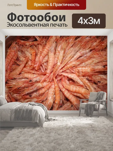 400 × 300 см · Экосольвентная печать