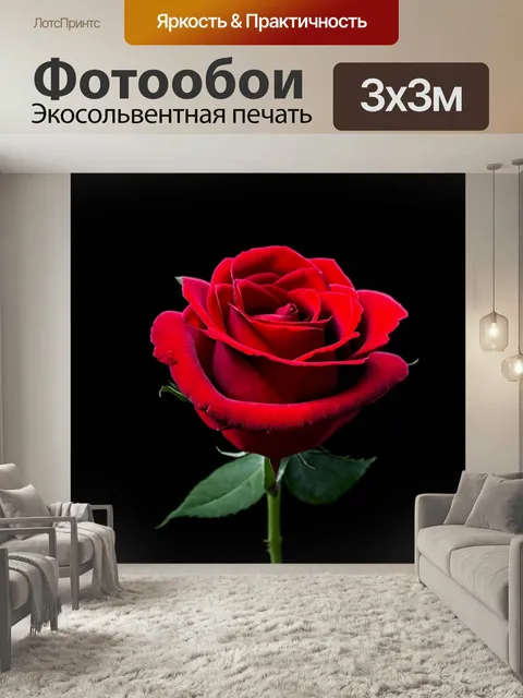 Фотообои Одна красная роза на черном фоне, выполненная в стиле минимализма, подчеркивающая красоту простоты и элегантн…