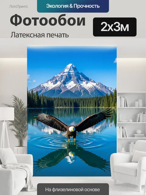 200 × 300 см · Латексная печать