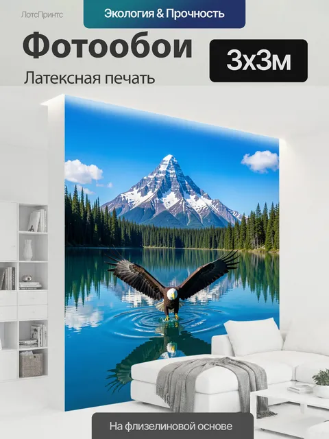 300 × 300 см · Латексная печать