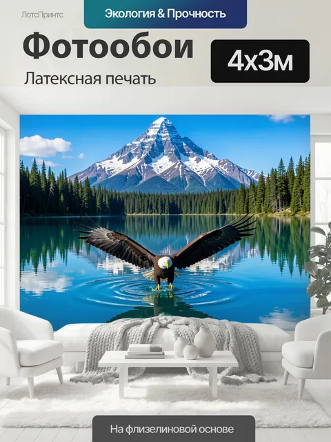 400 × 300 см · Латексная печать