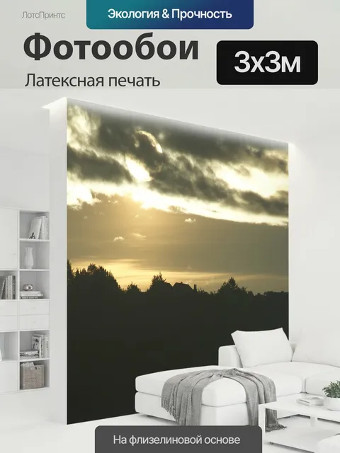 300 × 300 см · Латексная печать