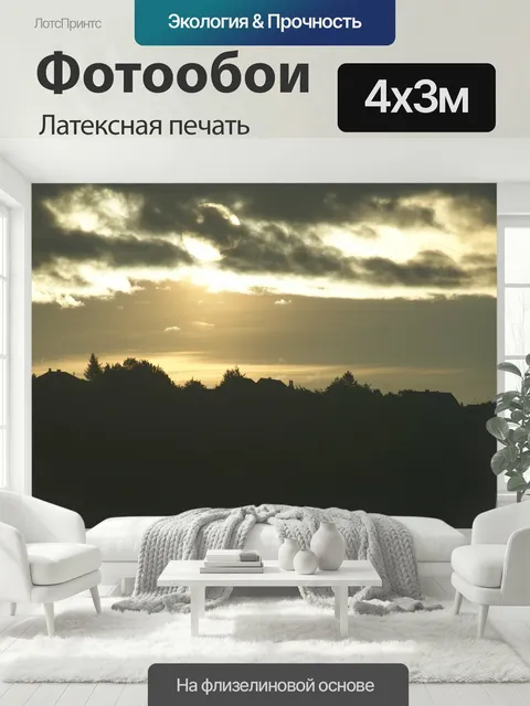 400 × 300 см · Латексная печать