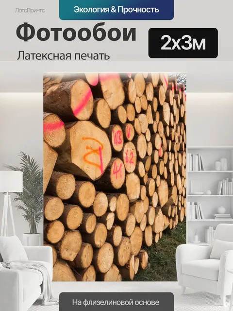 200 × 300 см · Латексная печать