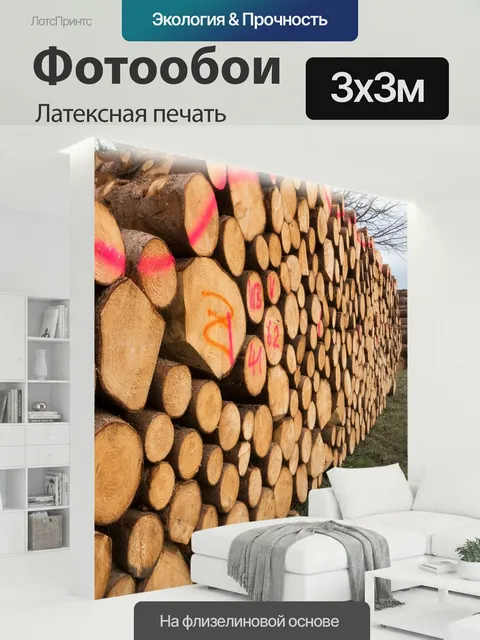 300 × 300 см · Латексная печать