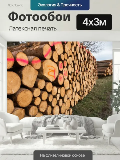 400 × 300 см · Латексная печать