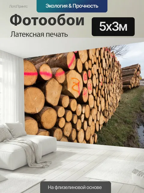 500 × 300 см · Латексная печать