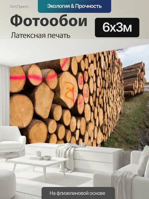 600 × 300 см · Латексная печать