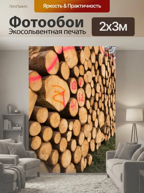 200 × 300 см · Экосольвентная печать