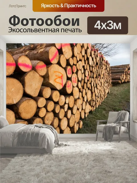 400 × 300 см · Экосольвентная печать
