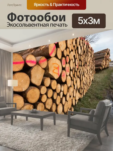 500 × 300 см · Экосольвентная печать