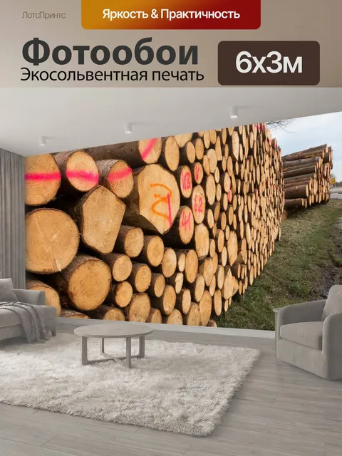 600 × 300 см · Экосольвентная печать