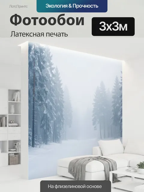 300 × 300 см · Латексная печать