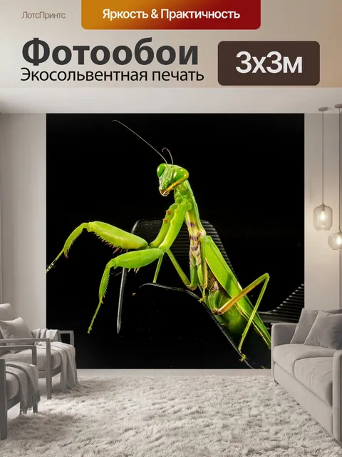 Фотообои Богомол, ловля насекомых, зеленый