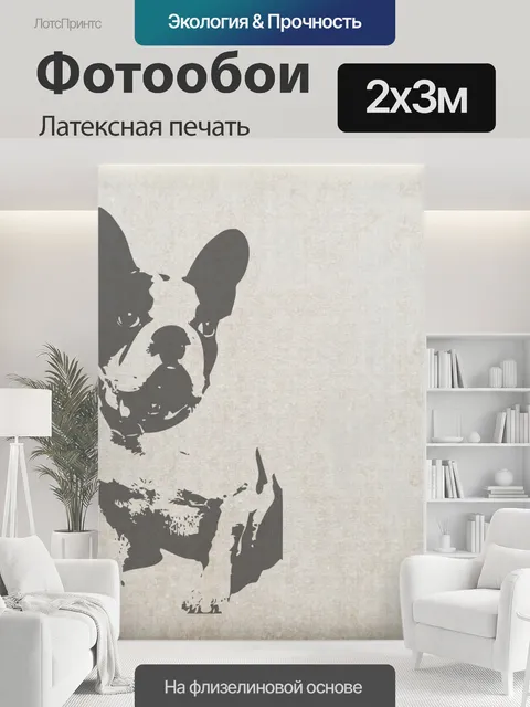200 × 300 см · Латексная печать