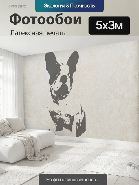 500 × 300 см · Латексная печать