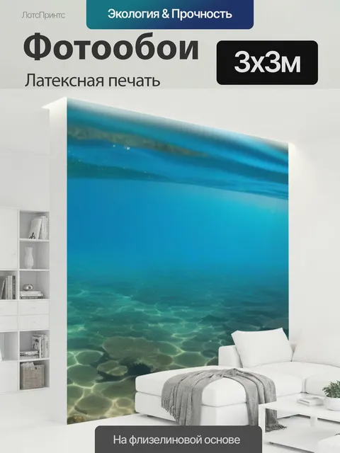300 × 300 см · Латексная печать