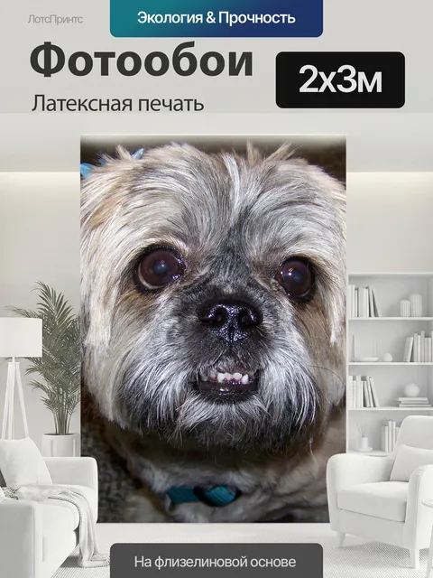 200 × 300 см · Латексная печать