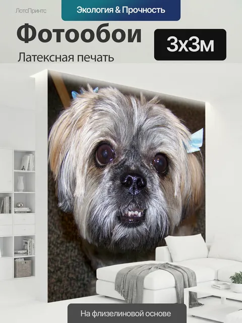 300 × 300 см · Латексная печать