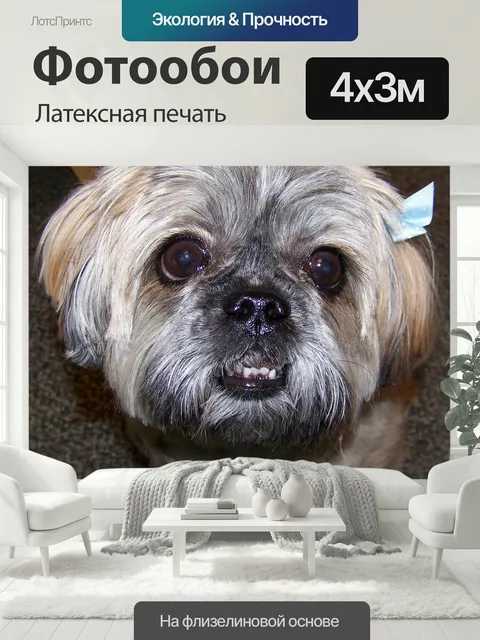 400 × 300 см · Латексная печать