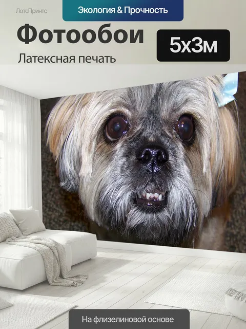 500 × 300 см · Латексная печать