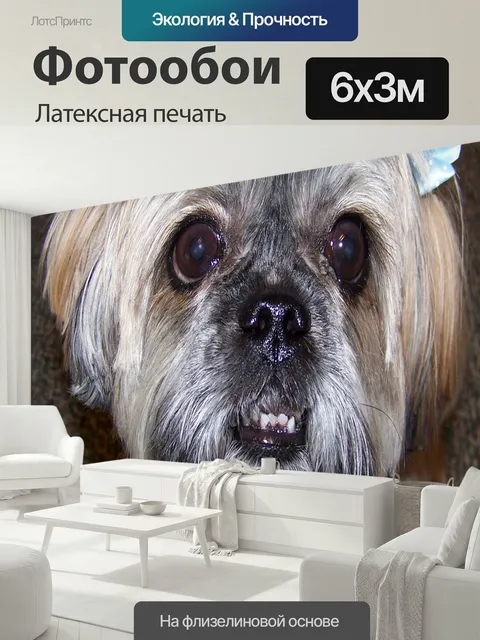 600 × 300 см · Латексная печать