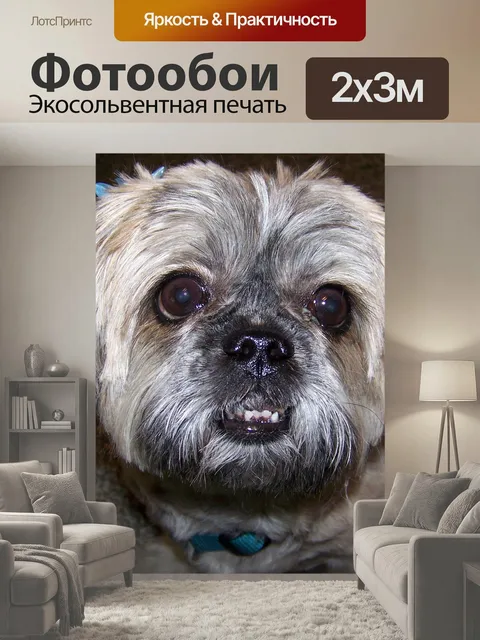 200 × 300 см · Экосольвентная печать