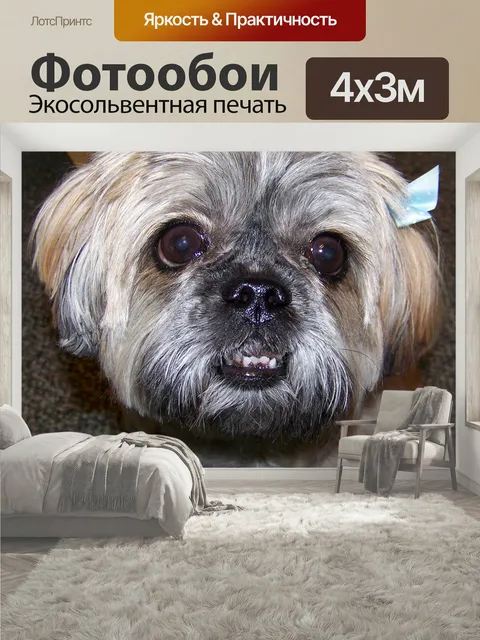 400 × 300 см · Экосольвентная печать