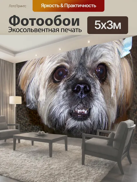 500 × 300 см · Экосольвентная печать