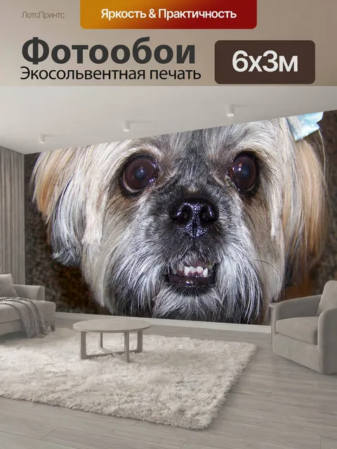 600 × 300 см · Экосольвентная печать