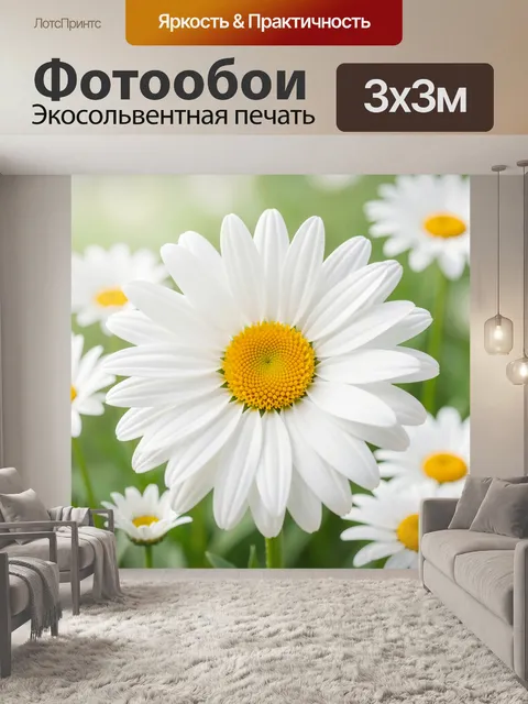 Фотообои Белые ромашки в зелёном поле