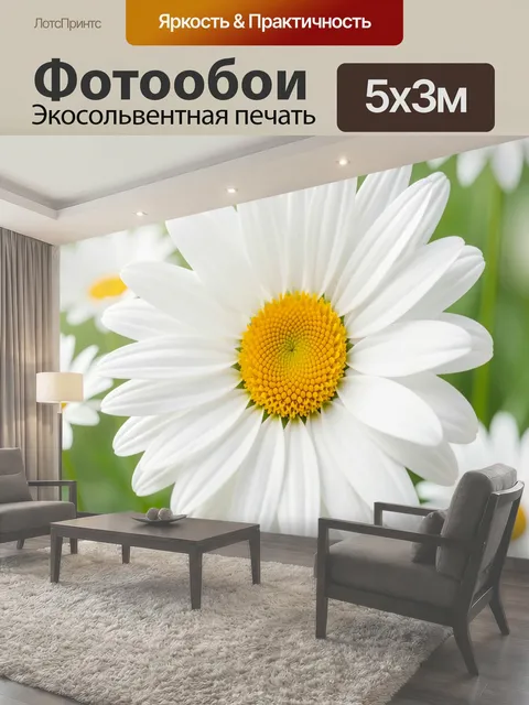Фотообои Белые ромашки в зелёном поле