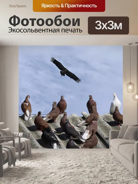 Фотообои Птицы, голубь, стервятник