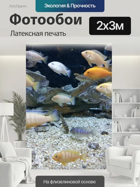 200 × 300 см · Латексная печать